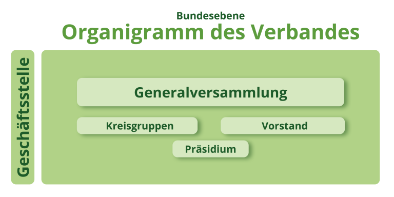 Hessischer Waldbesitzerverband e.V. - Organigram des Verbandes Infografik