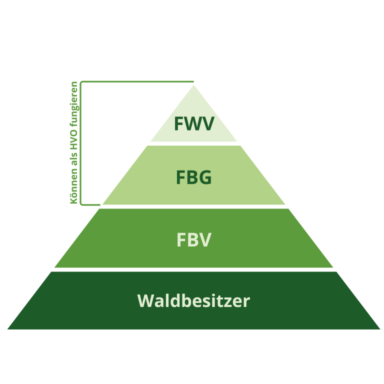 Hessischer Waldbesitzerverband e.V. - Organisationsinfografik