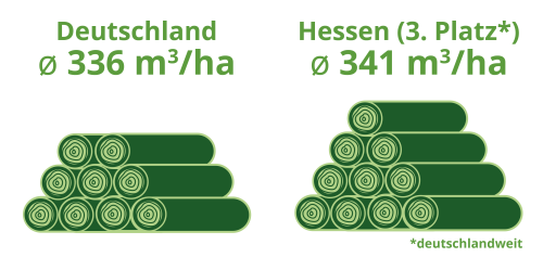 Holzvorrat Hessischer Waldbesitzerverband e.V. - Holzvorrat in Hessen Infografik