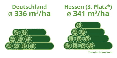 Hessischer Waldbesitzerverband e.V. - Holzvorrat in Hessen Infografik