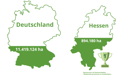 Hessischer Waldbesitzerverband e.V. – Infografik Waldanteil Landkarte Hesen und Deutschland im Vergleich Hessischer Waldbesitzerverband e.V. - Infografik Waldanteil Landkarte Hesen und Deutschland im Vergleich