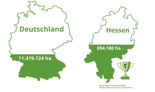 Hessischer Waldbesitzerverband e.V. - Infografik Waldanteil Landkarte Hesen und Deutschland im Vergleich