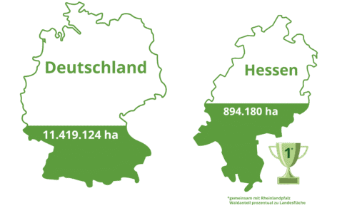 Hessischer Waldbesitzerverband e.V. - Infografik Waldanteil Landkarte Hesen und Deutschland im Vergleich